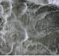 Water Foam 0026